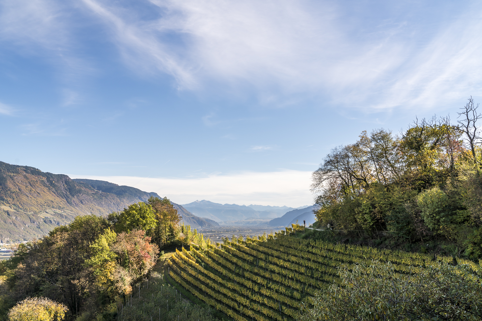 Südtirol Meranerland