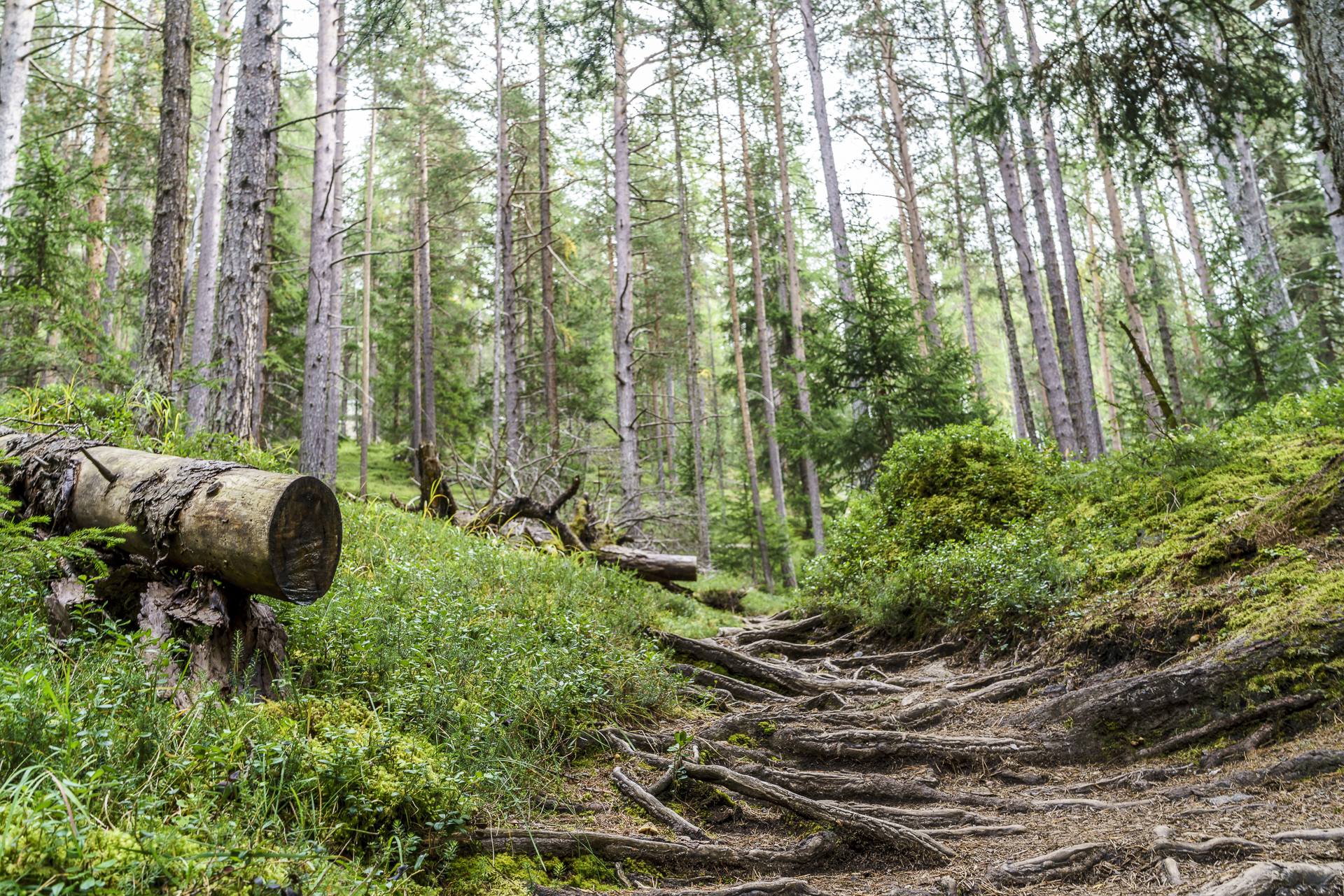 Vallun Chafuol Wanderweg