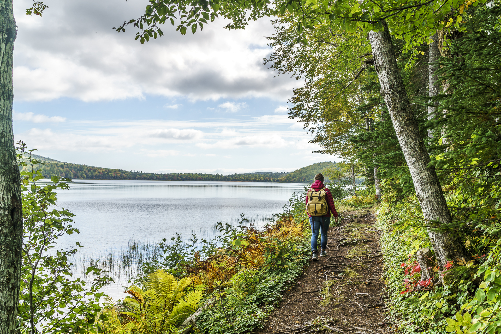 Warren Lake Trail
