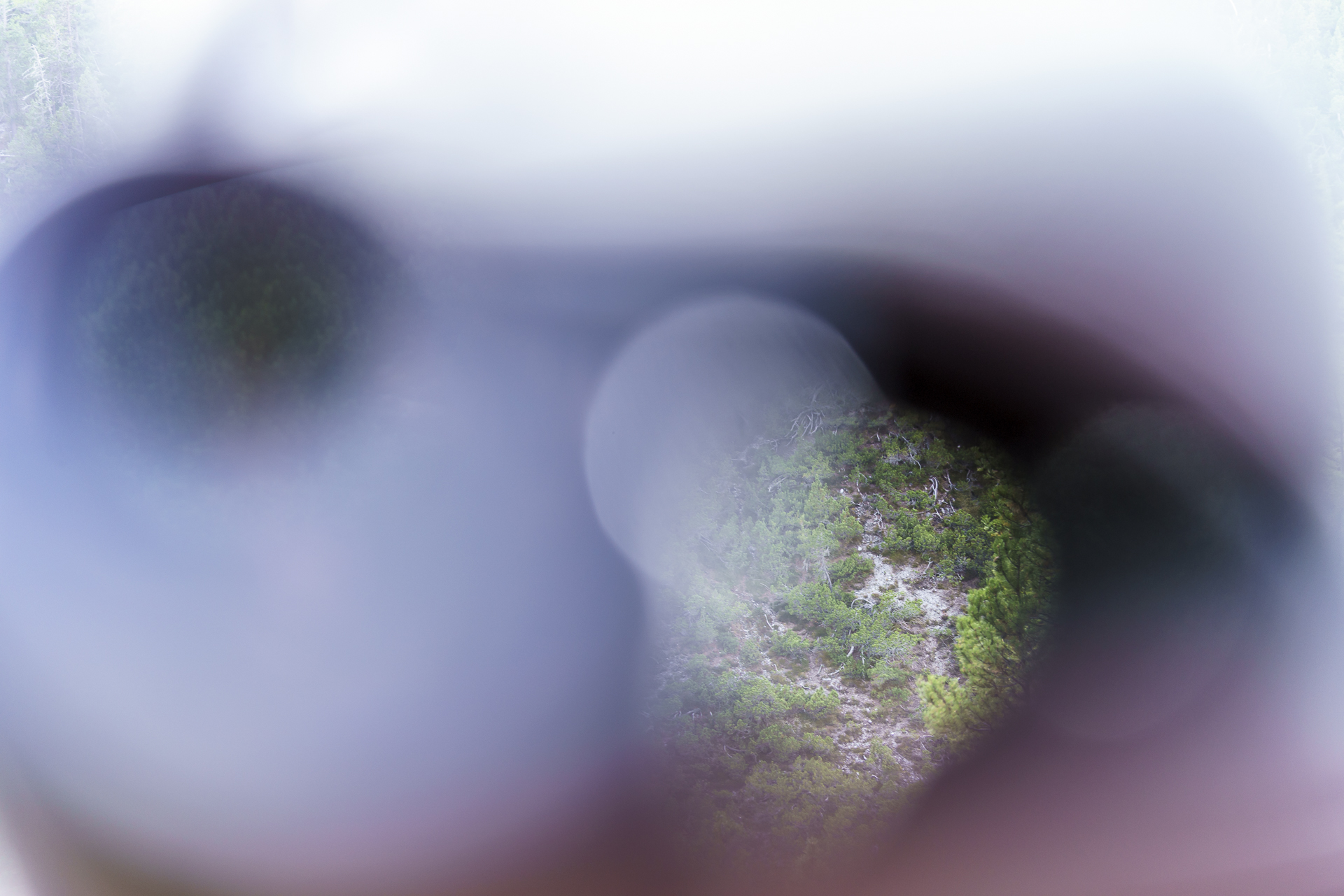 Blick durch den Feldstecher