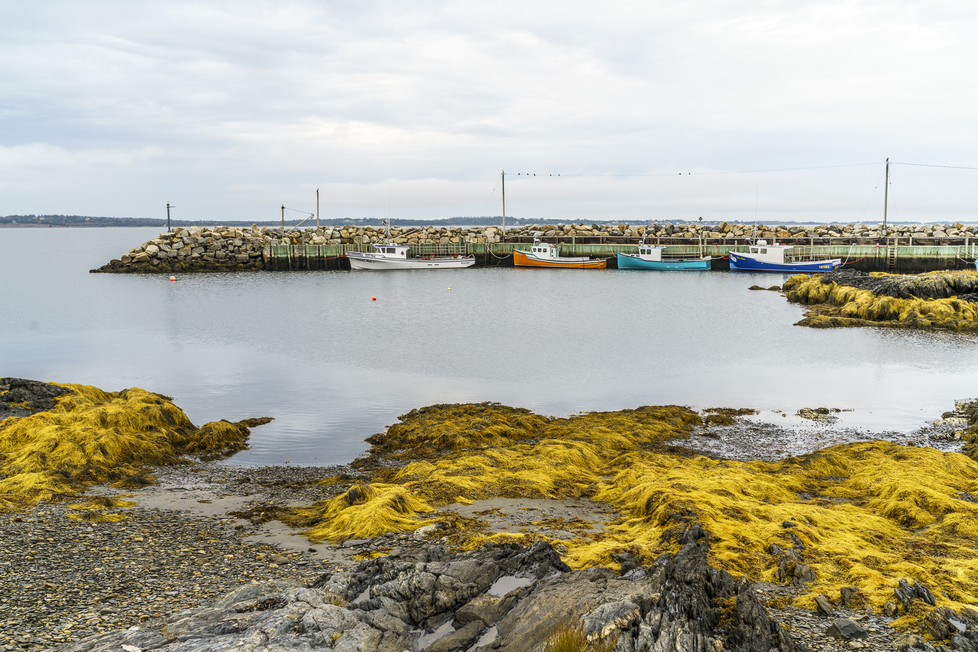Blue Rocks