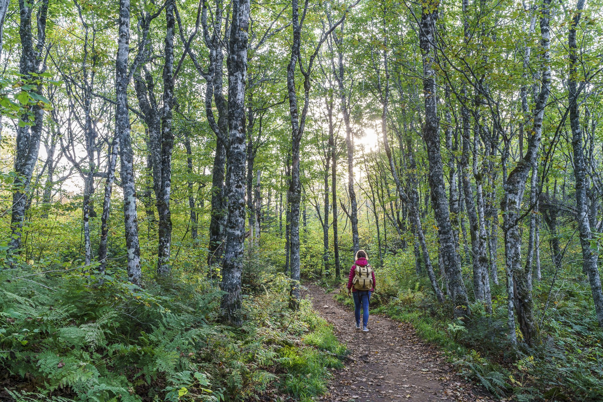 Cape Split Trailhead