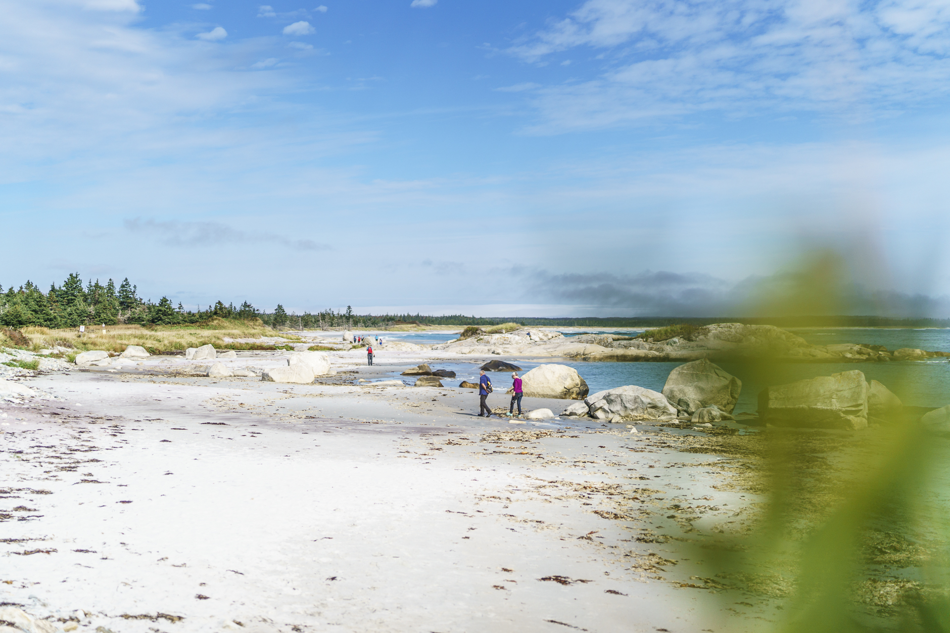 Kejimkujik National Park Beach