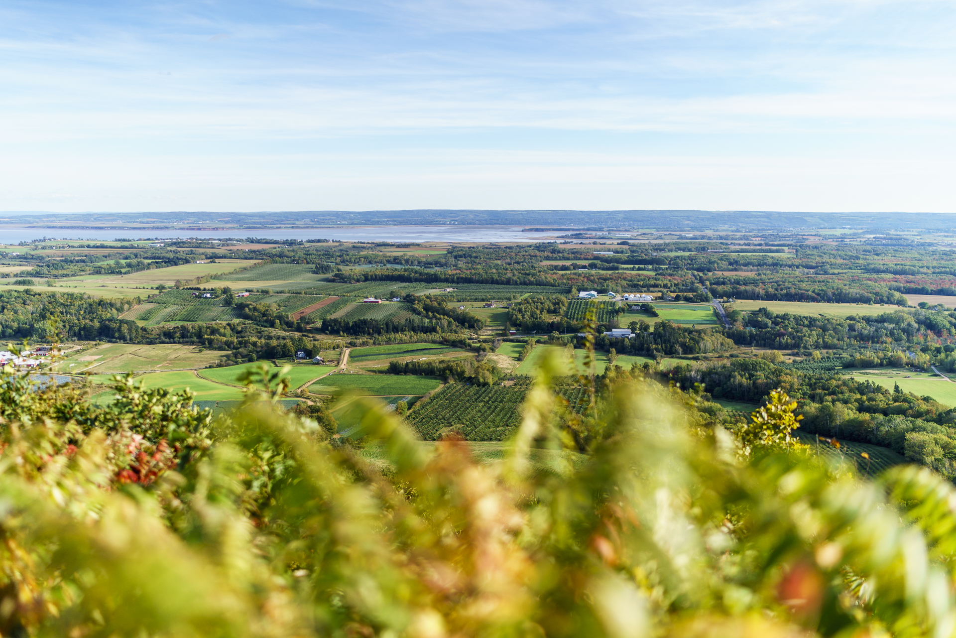 Wolfville lookoff Aussichtspunkt