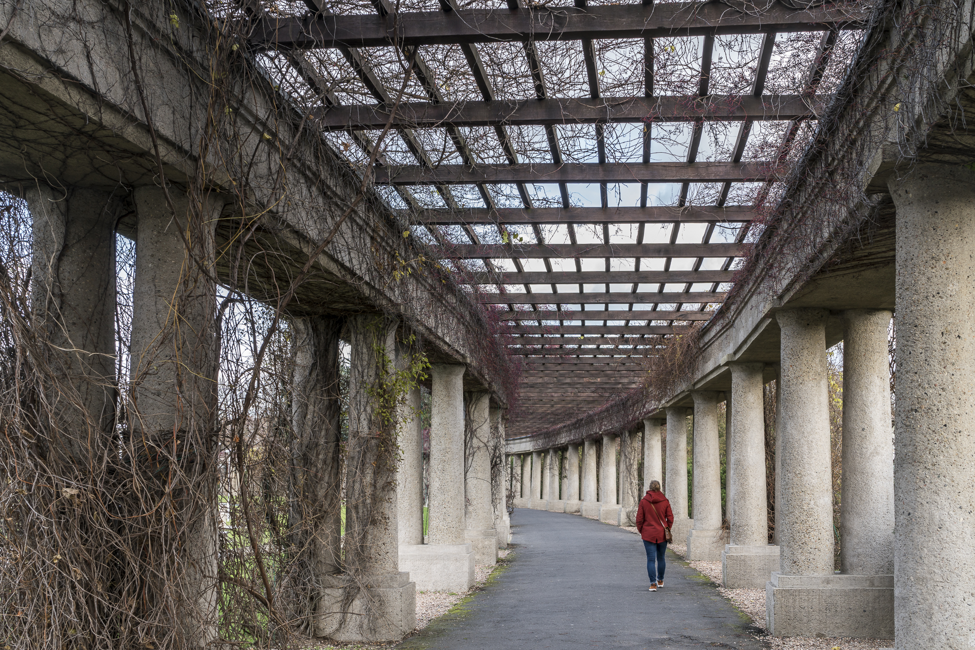 Pergola Hala Stulecia