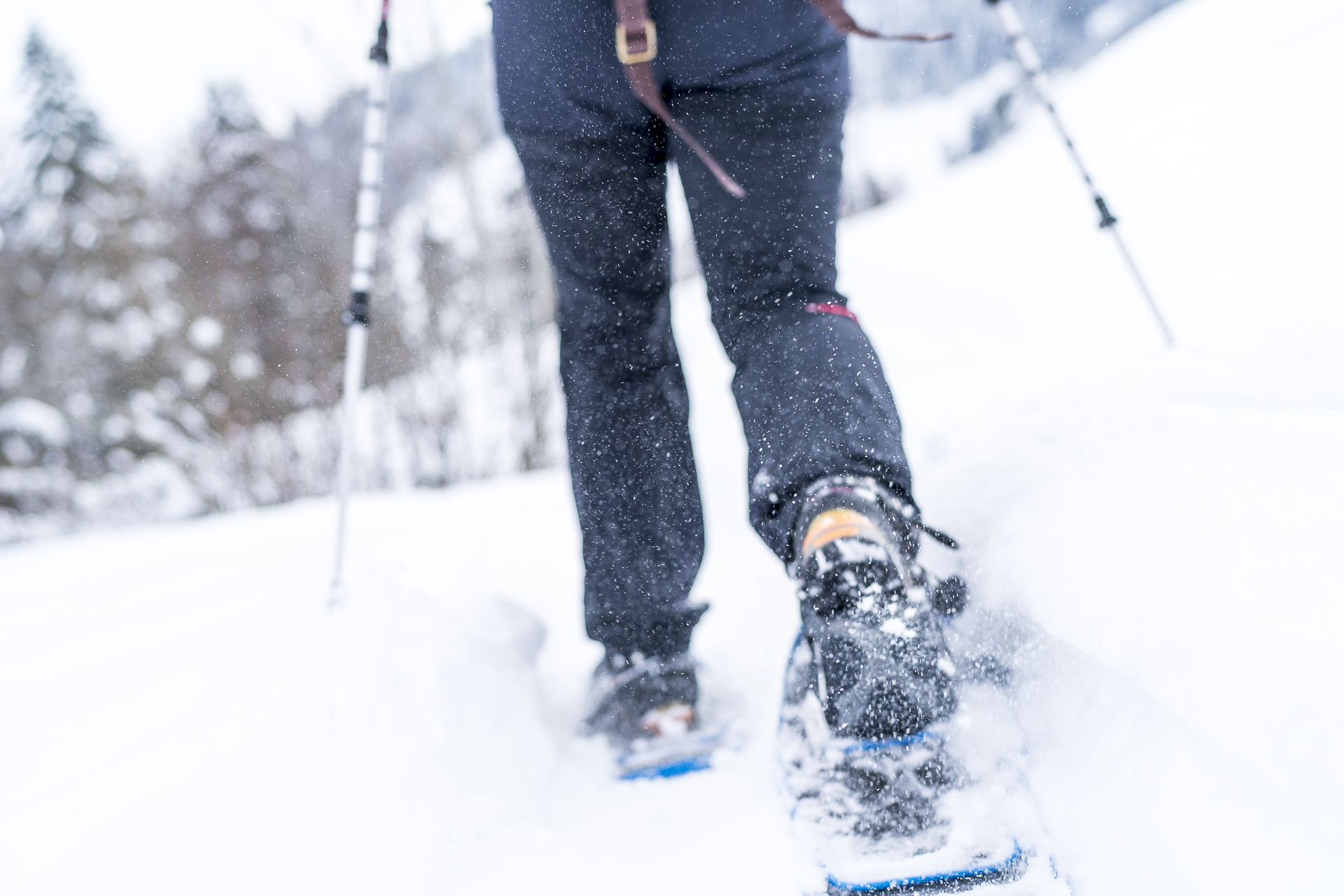 Schneeschuhlaufen