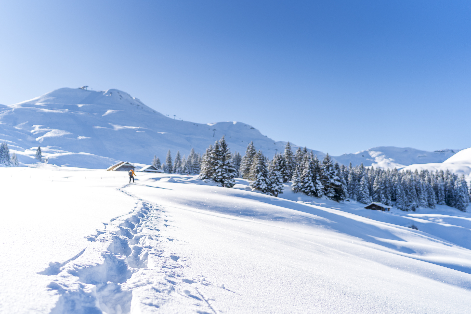 Schneeschuhtrail Waldhüttli Stoos
