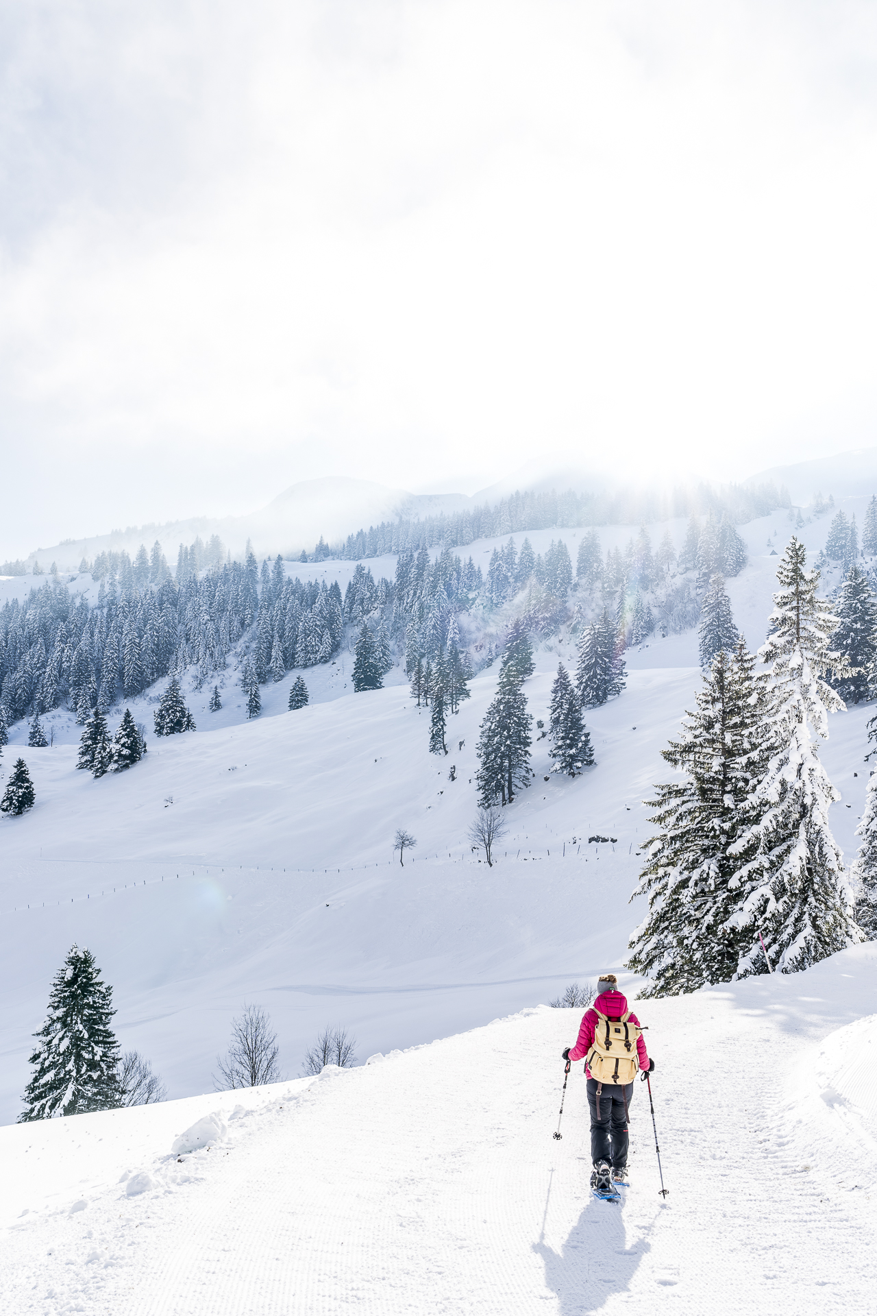 Schneeschuhtrails Stoos Zentralschweiz