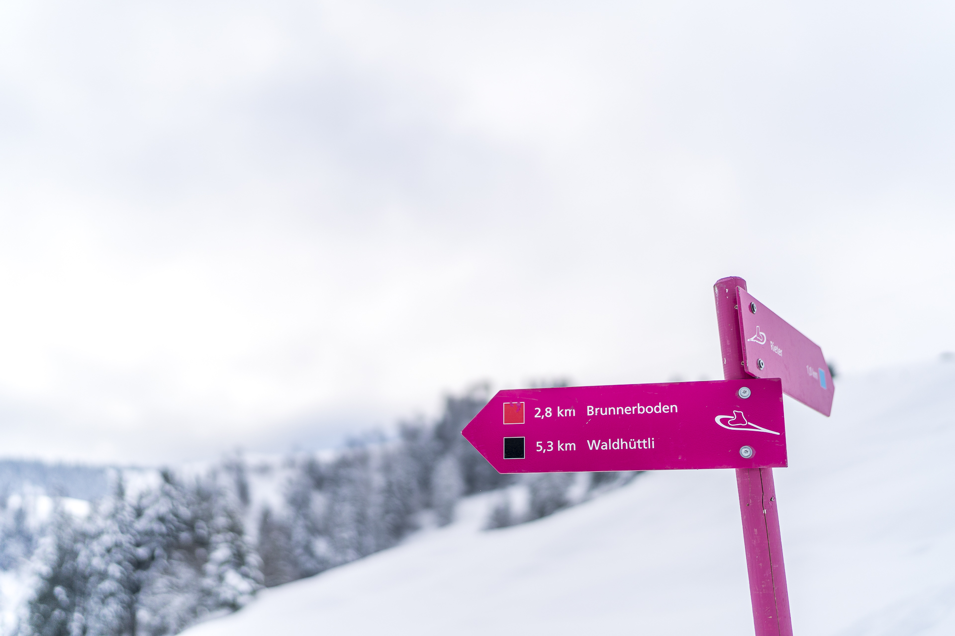 Schneeschuhtrails in Stoos