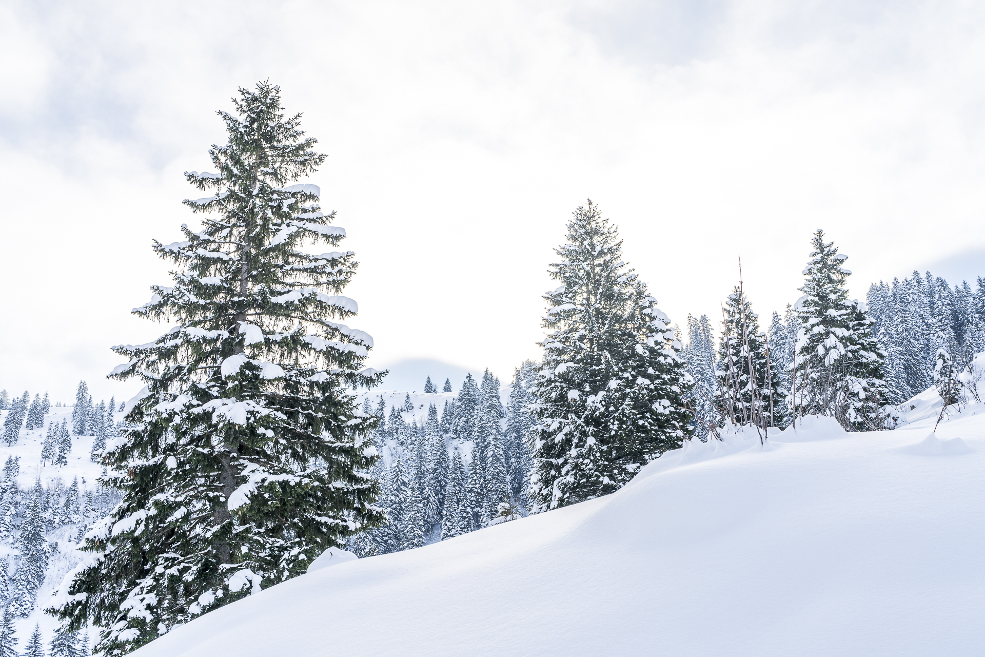 Stoos Winter