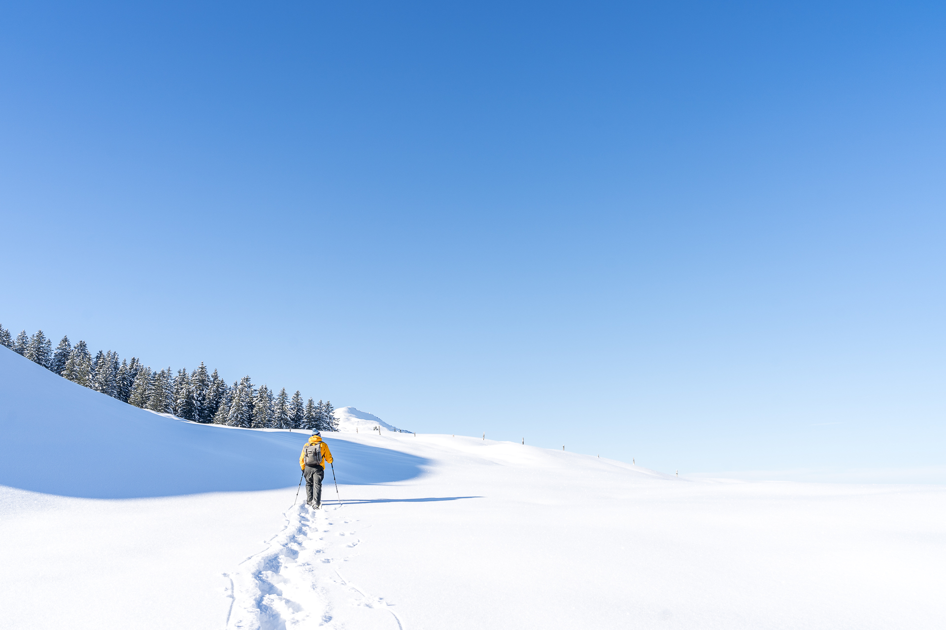 Waldhüttli Schneeschuhtrail Stoos