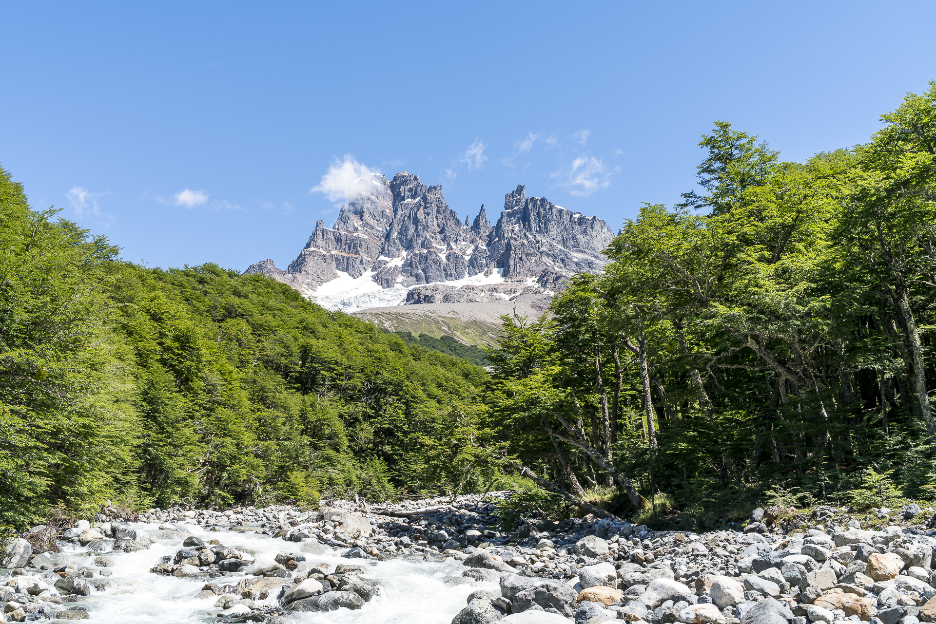 Campamento El Bosque mit Cerro Castillo