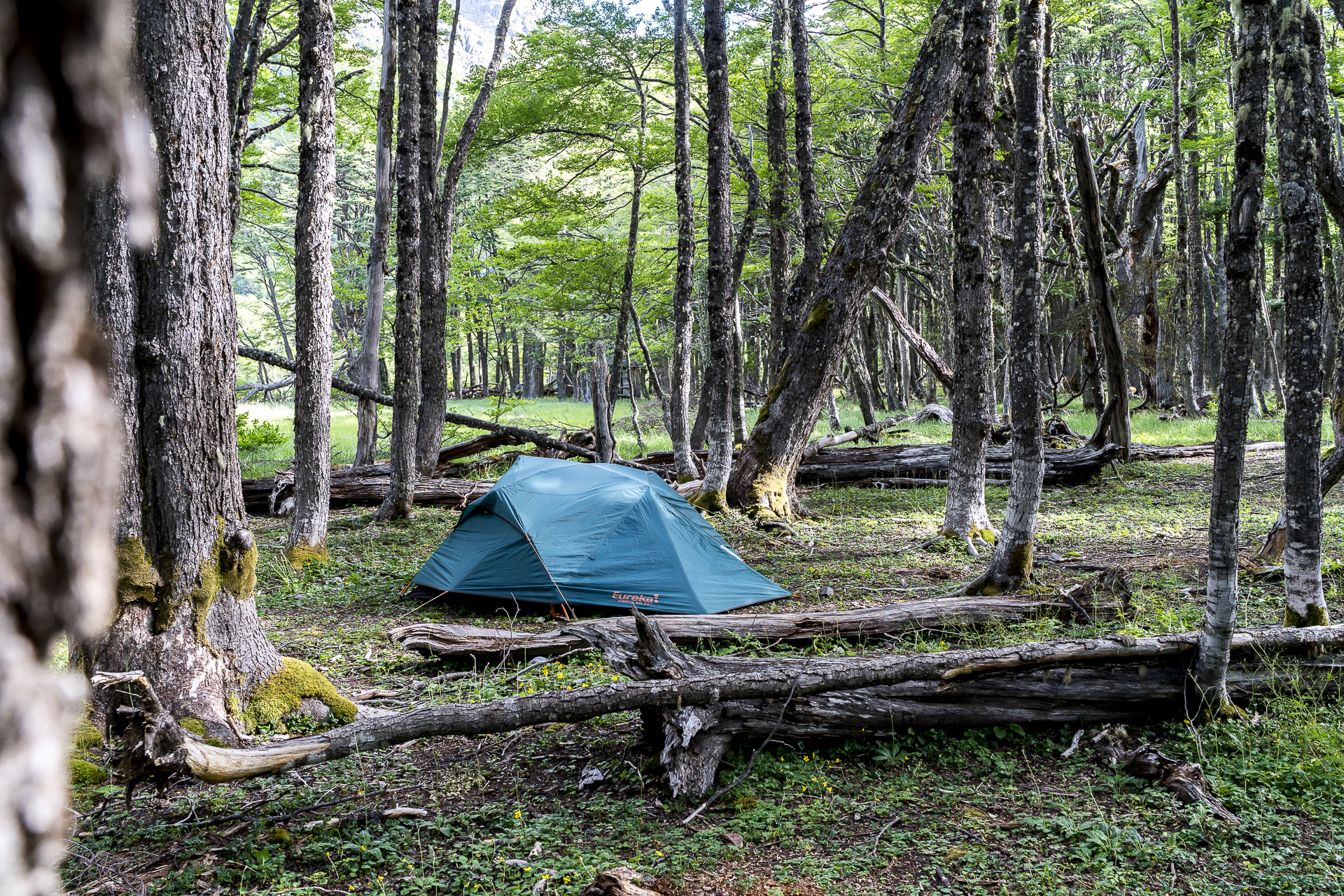 Campamento El Turbio Cerro Castillo