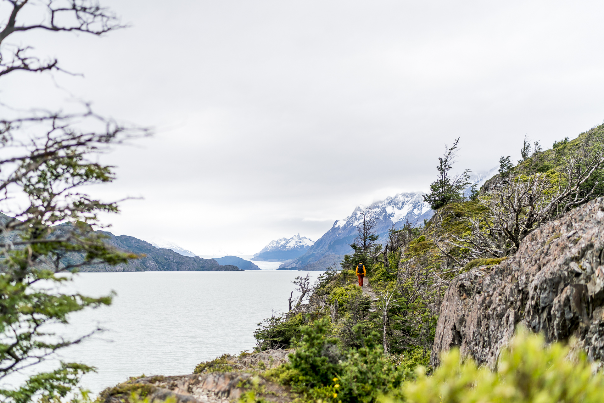 Lago Grey Hike