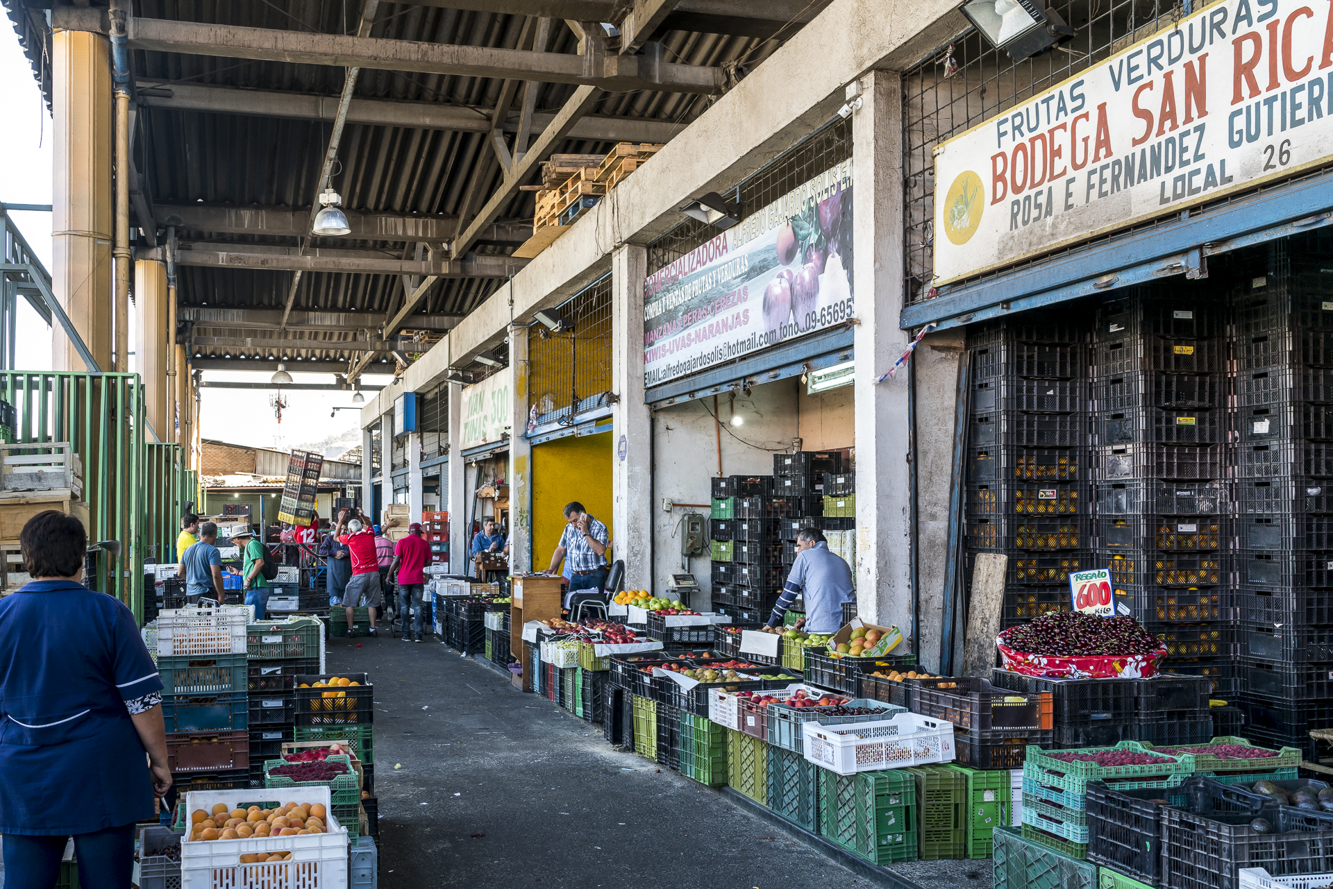 Mercado Vega Santiago de Chile