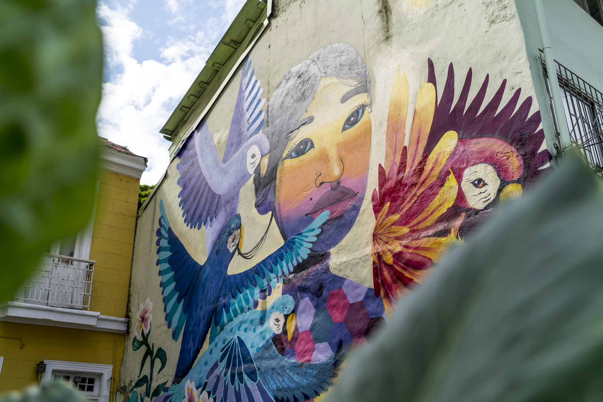 Street Art in Valparaiso Chile