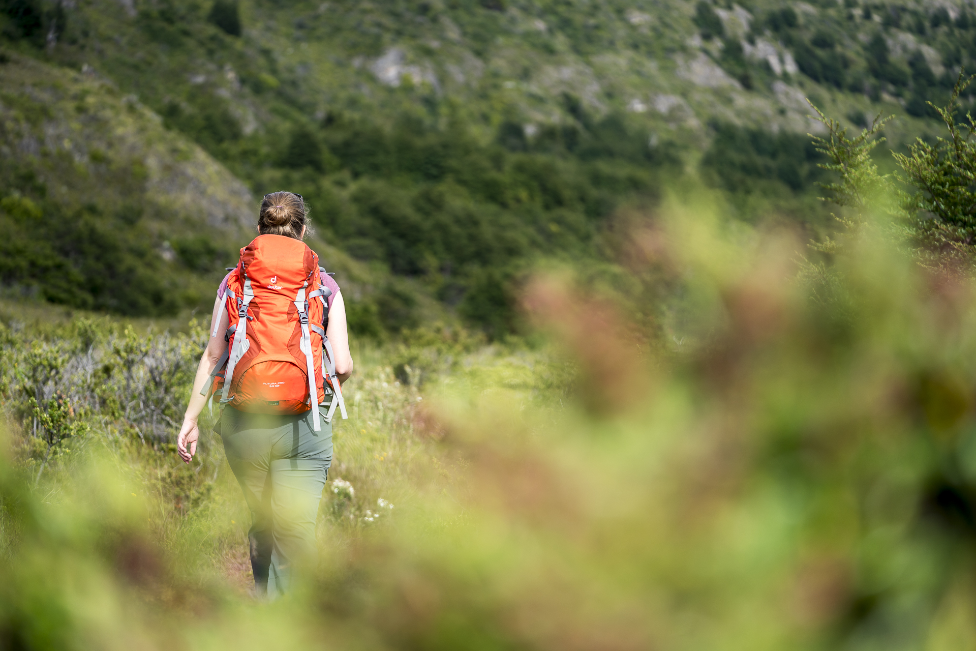 Wandern Torres del Paine