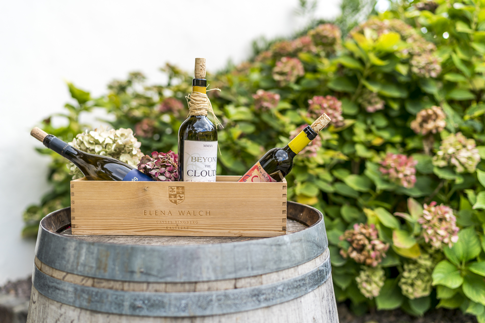 Wein Beyond the Cloud von Elena Walch