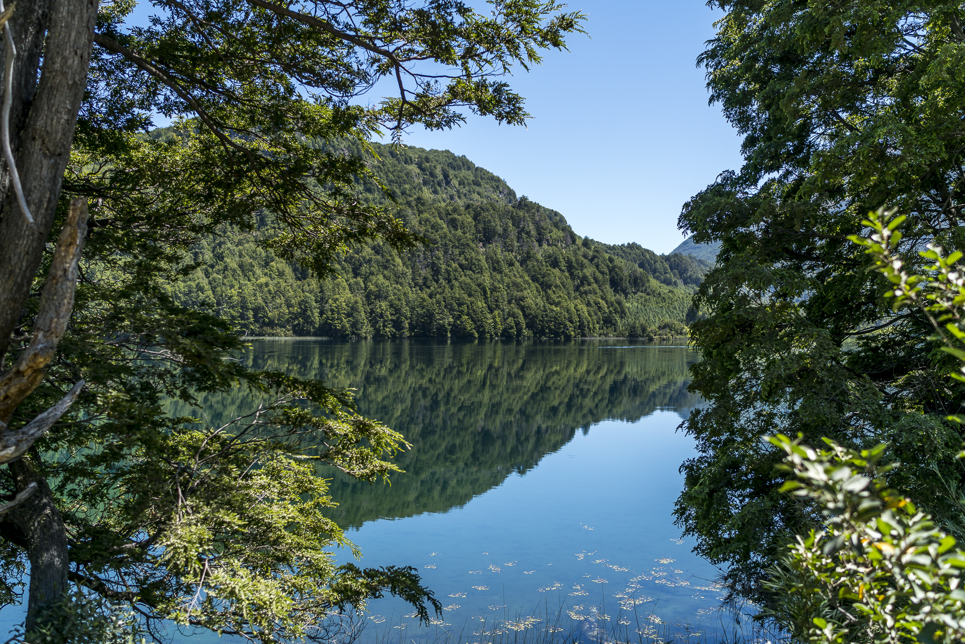 Futualefu River