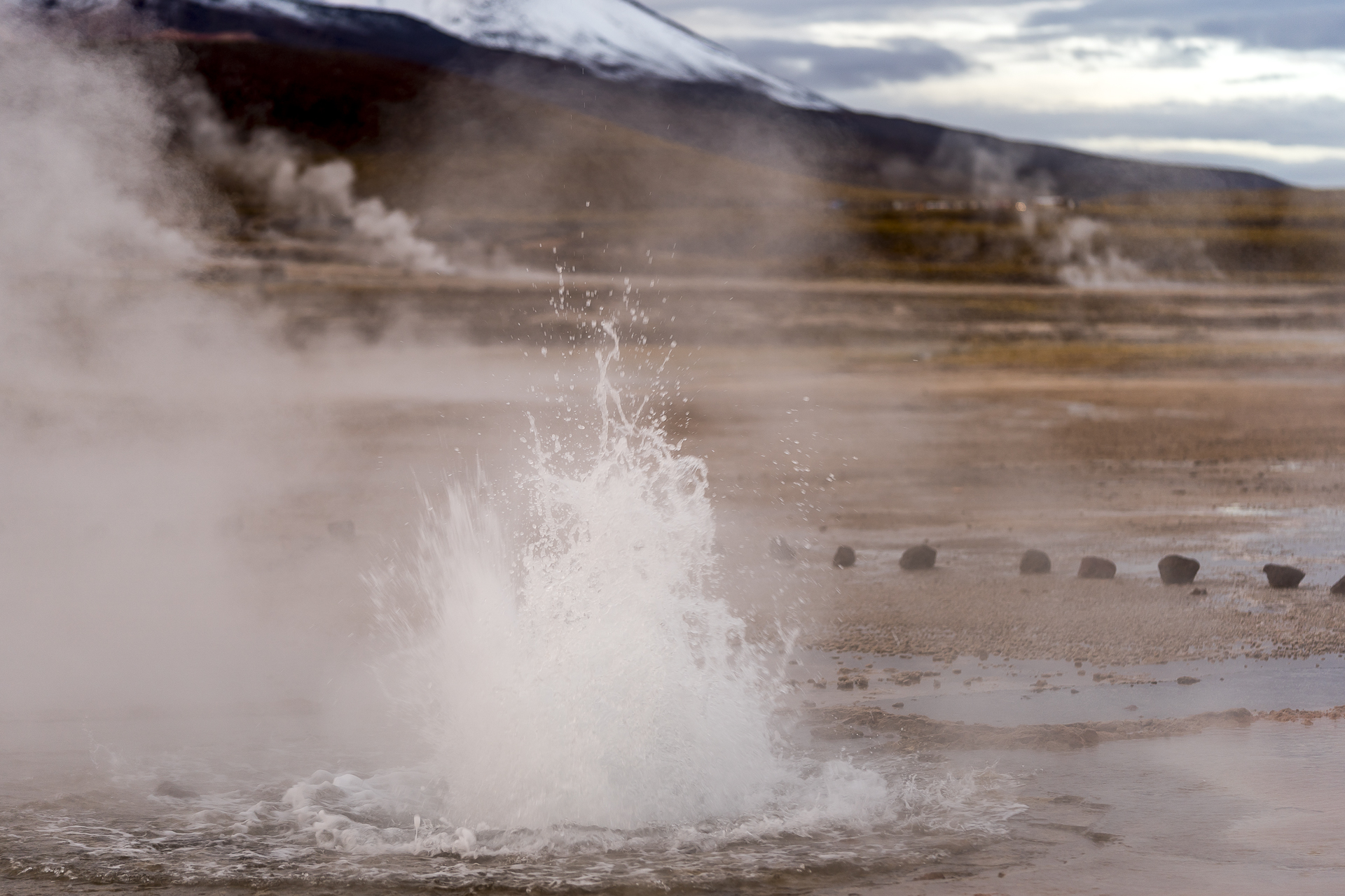 Höchster Geysir del Welt del Tatio