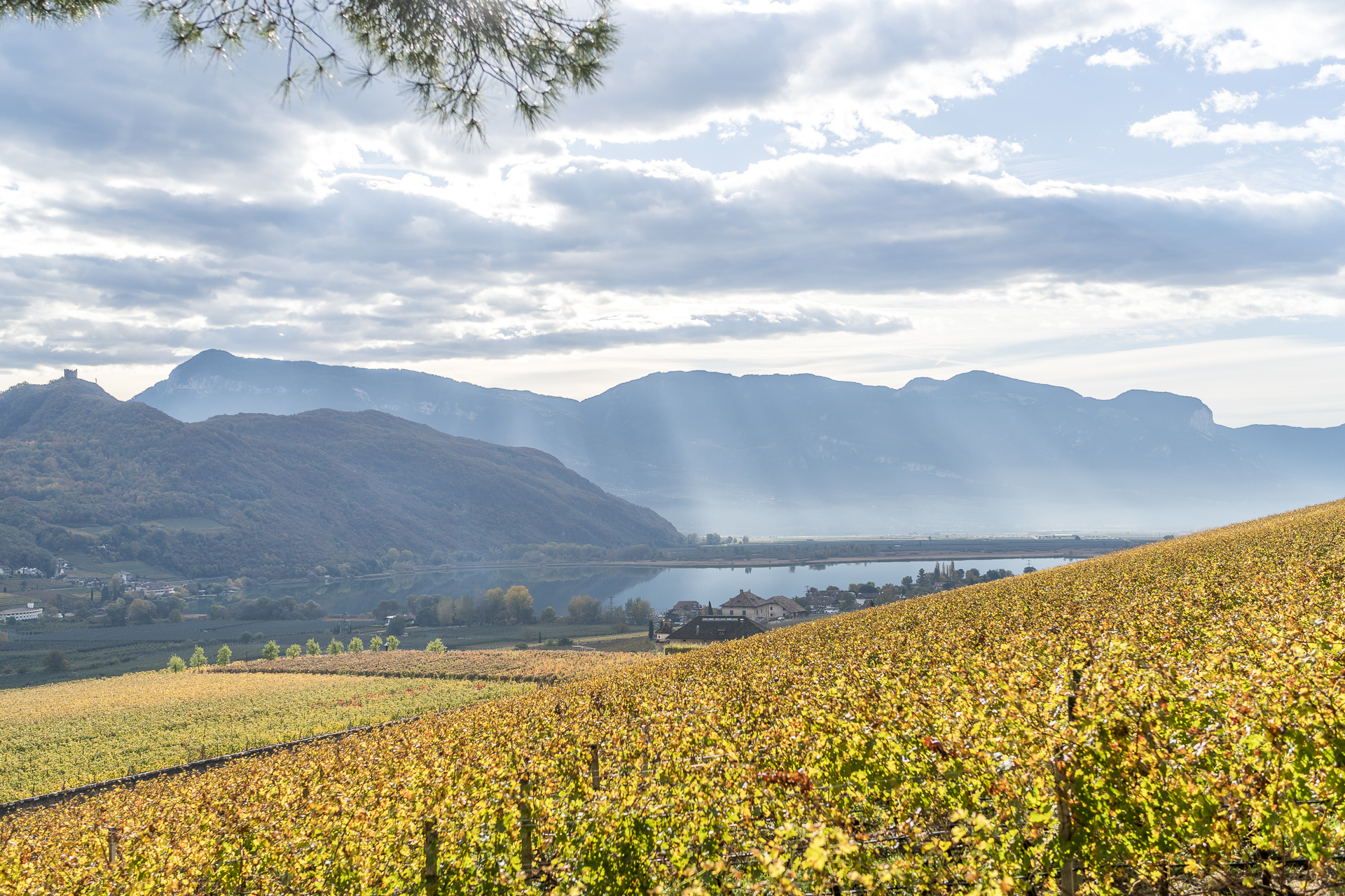 Kalterer See im Herbst