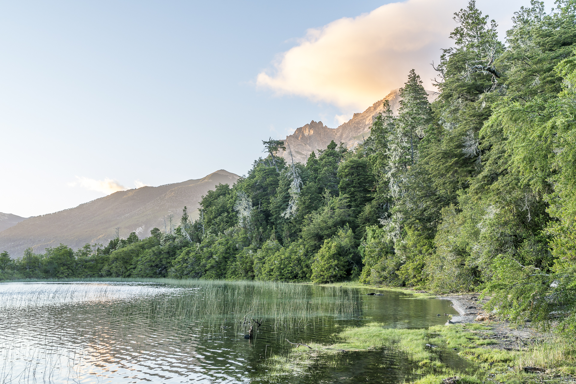 Morgenstimmung Llao-Llao Halbinsel