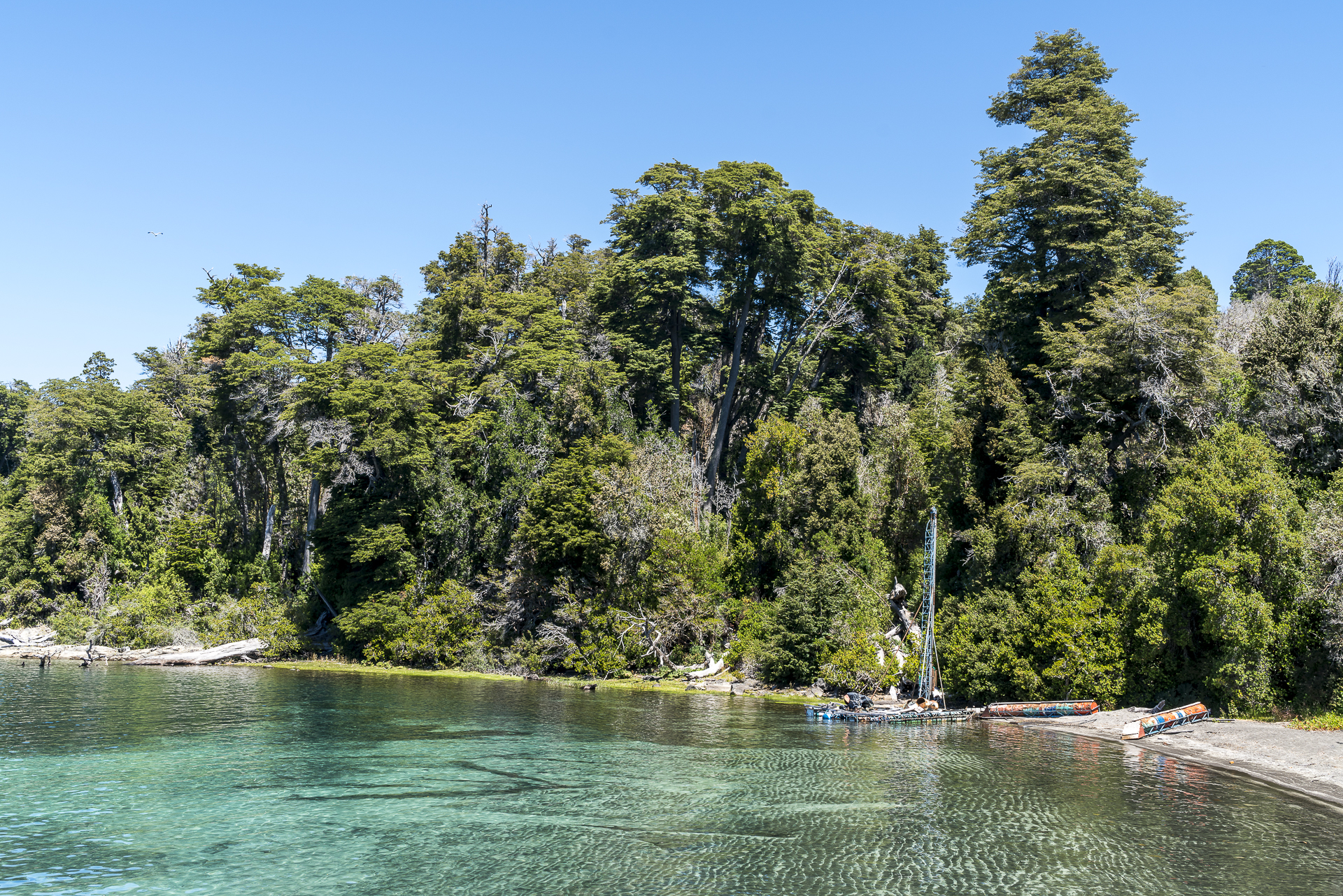 Strand im Nationalpark Los Arrayanes Bariloche