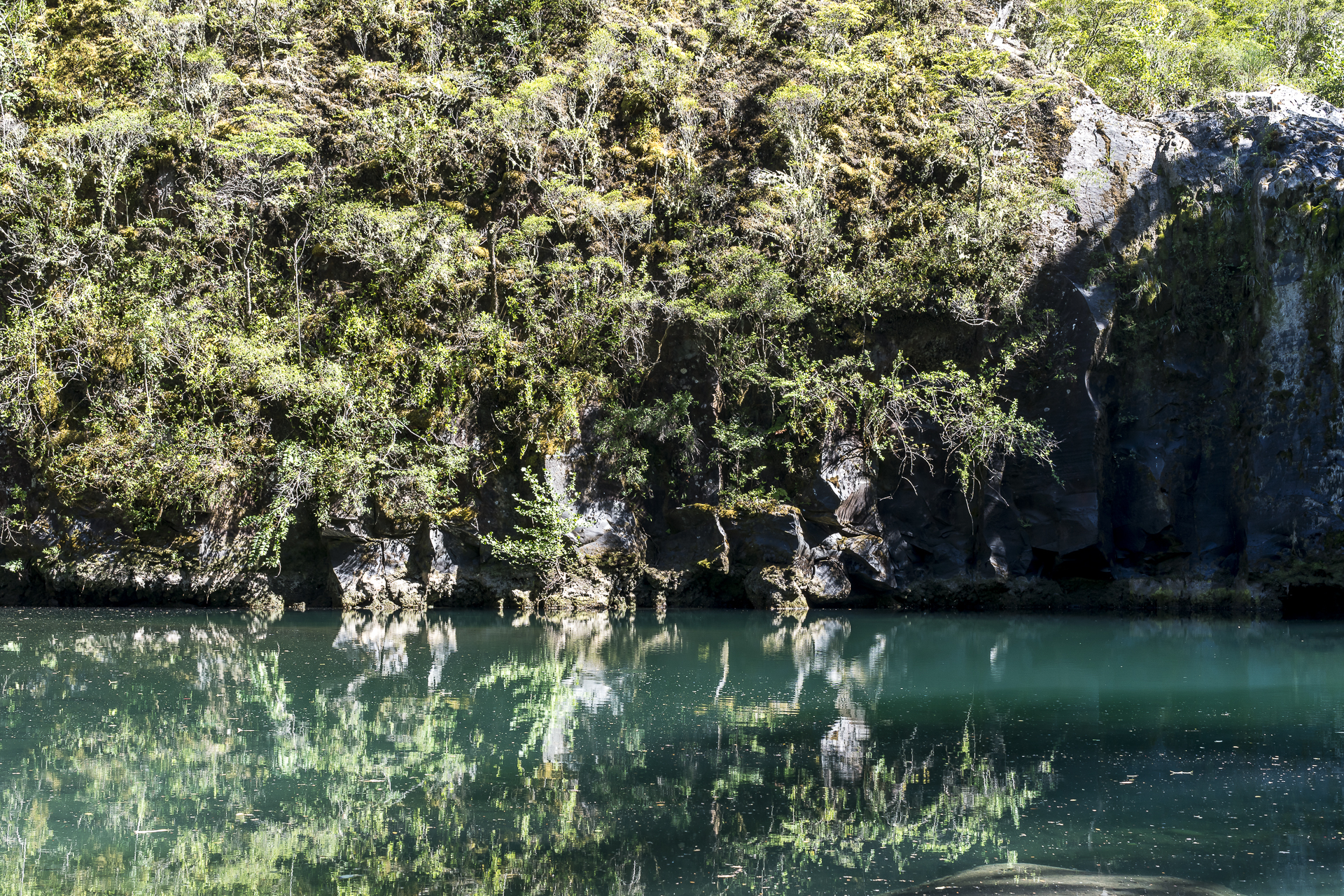 Nationalpark Vicente Perez Rosales