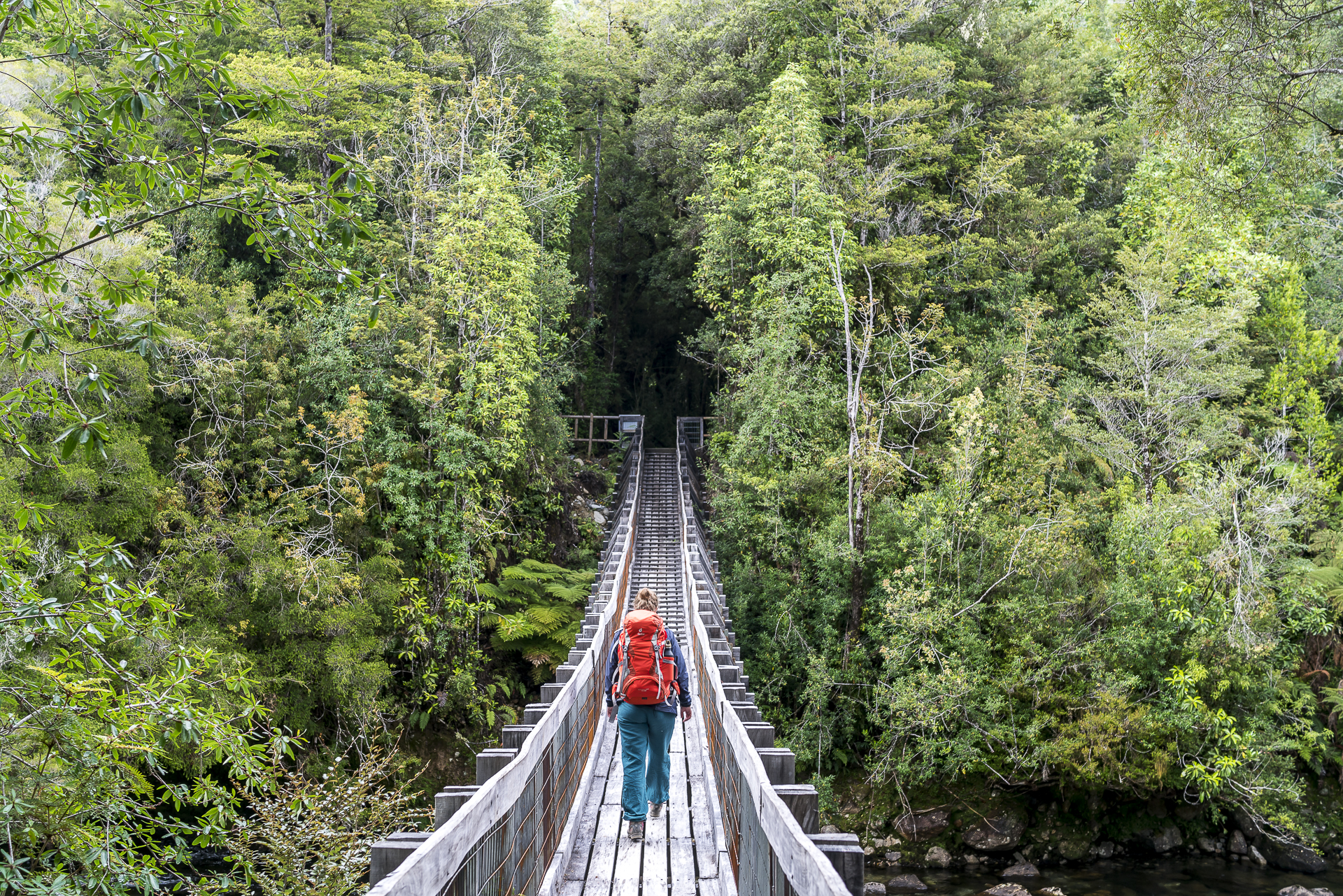 Parque Nacional Alere Andino Wandern