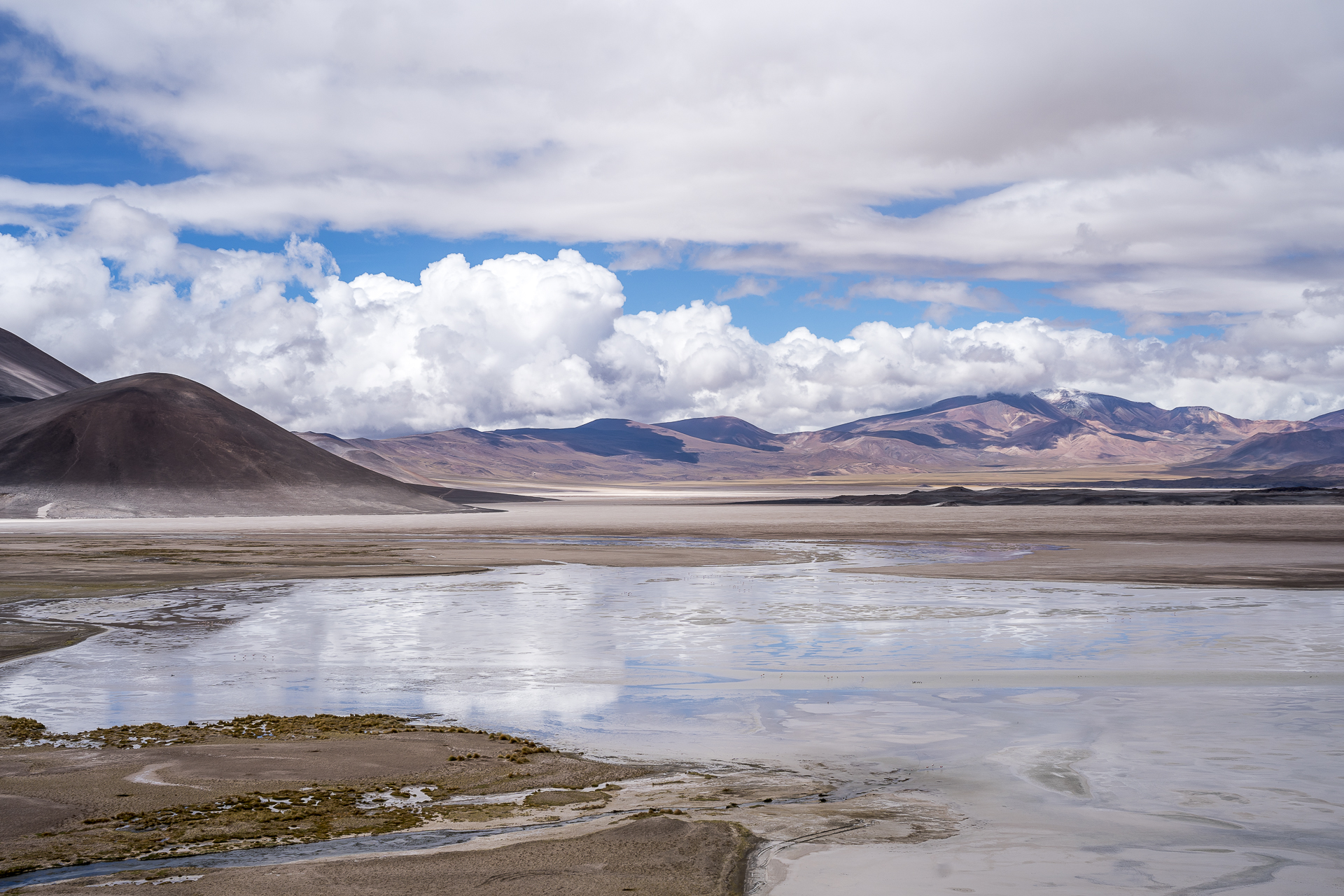 Salar Piedras Rojas Atacama