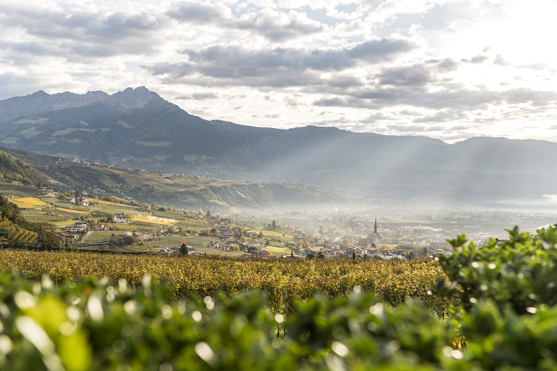 Morgenstimmung in Algund Meranerland