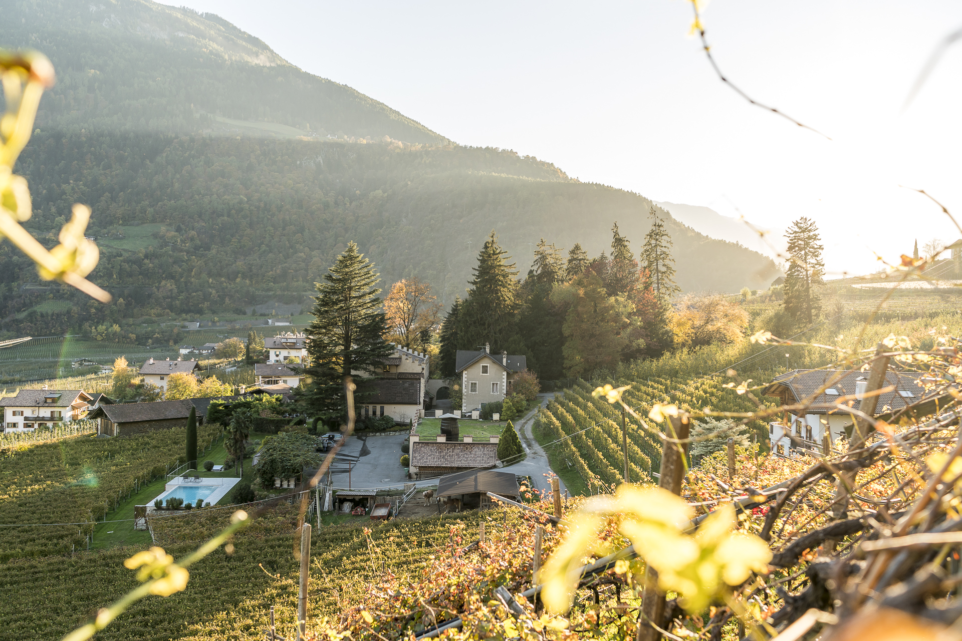 Schloss Plars in Algund im Abendlicht