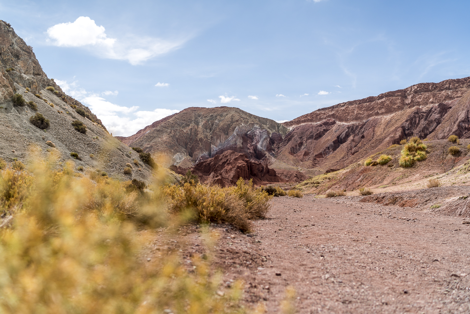 Trail Valle Arcoiris