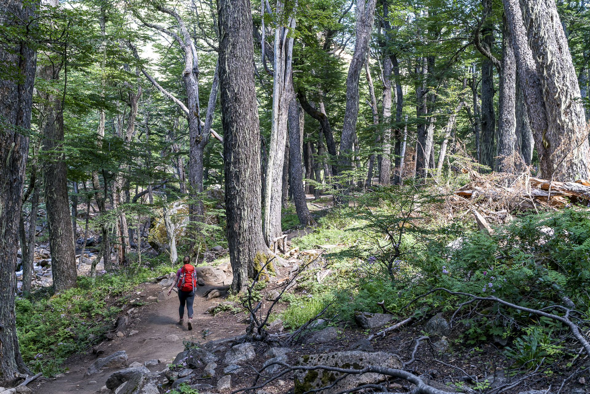 Trail Refugio Frey Bariloche