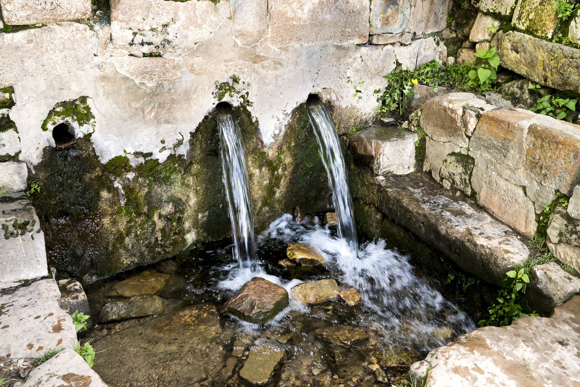 Isla del Sol Inkagarten
