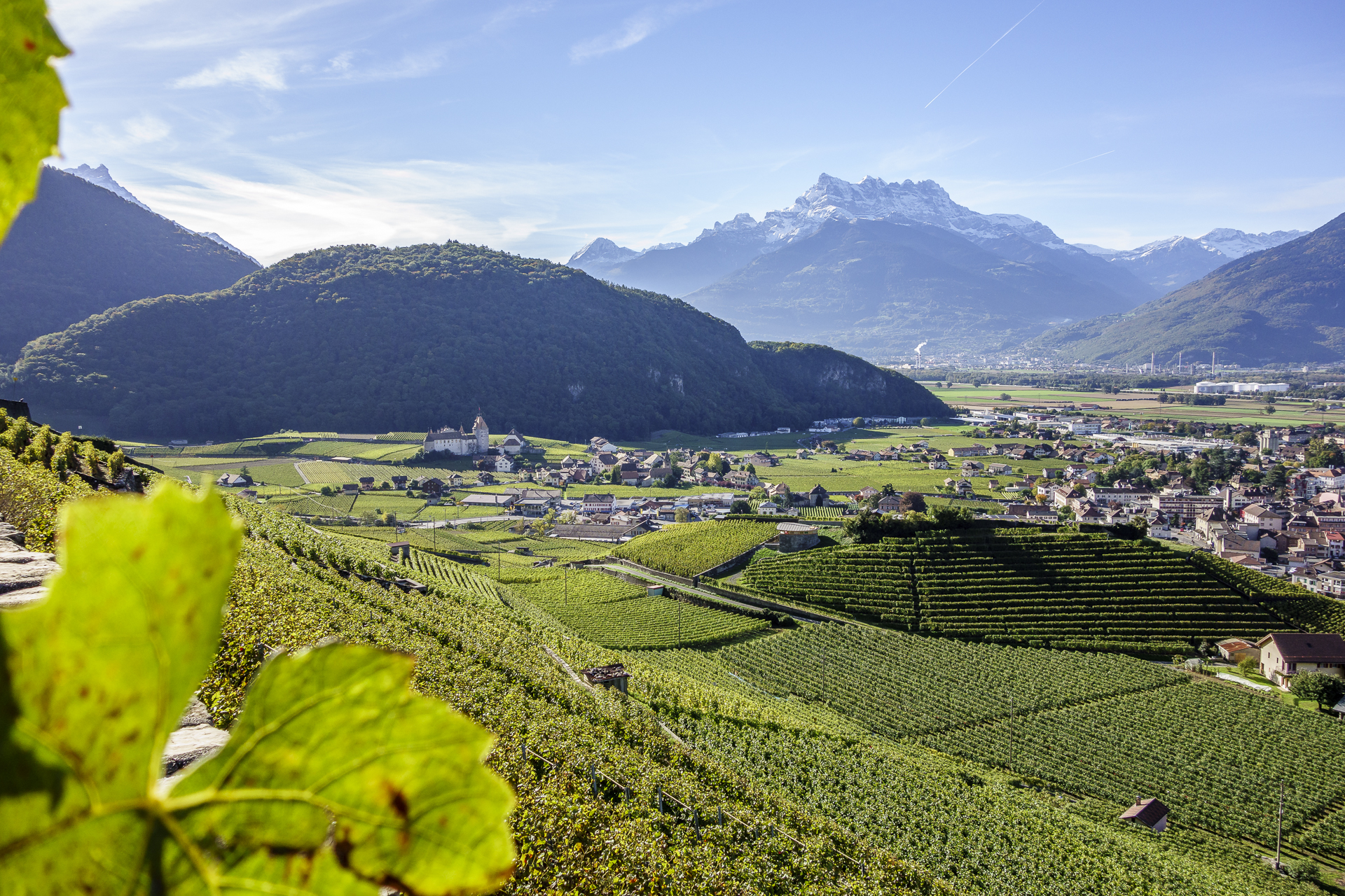 Weinmuseum in Aigle