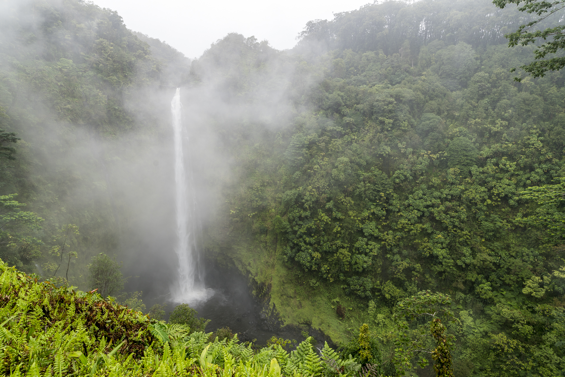Akaka Falls State Park