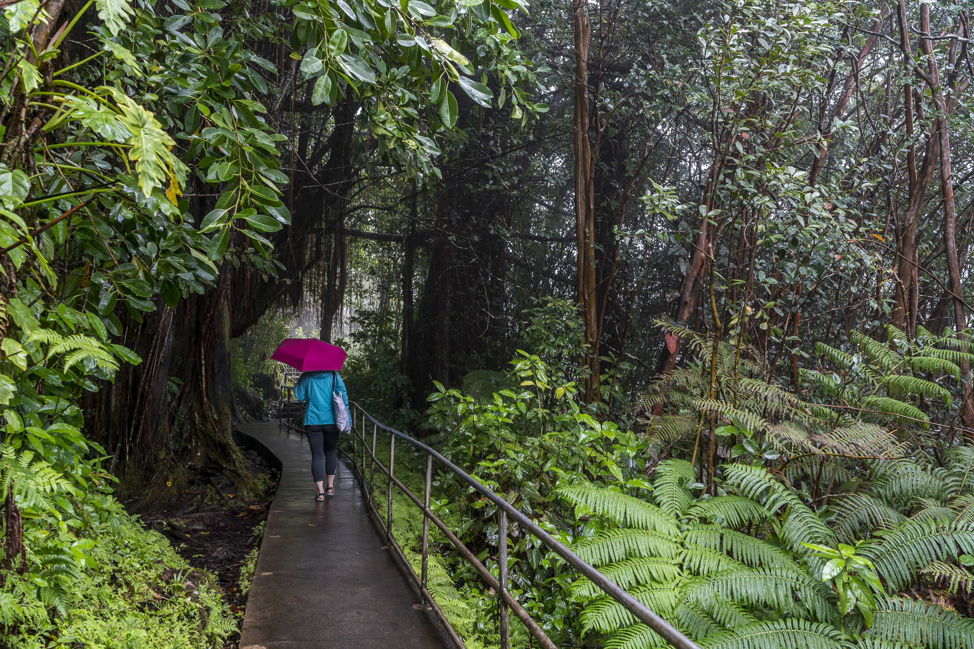 Akaka Falls Trail