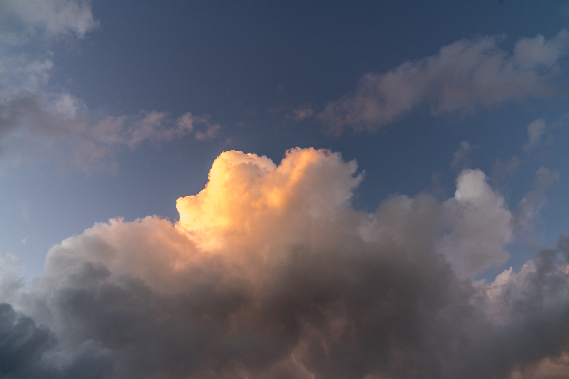 Hawaii Candy Cotton Clouds