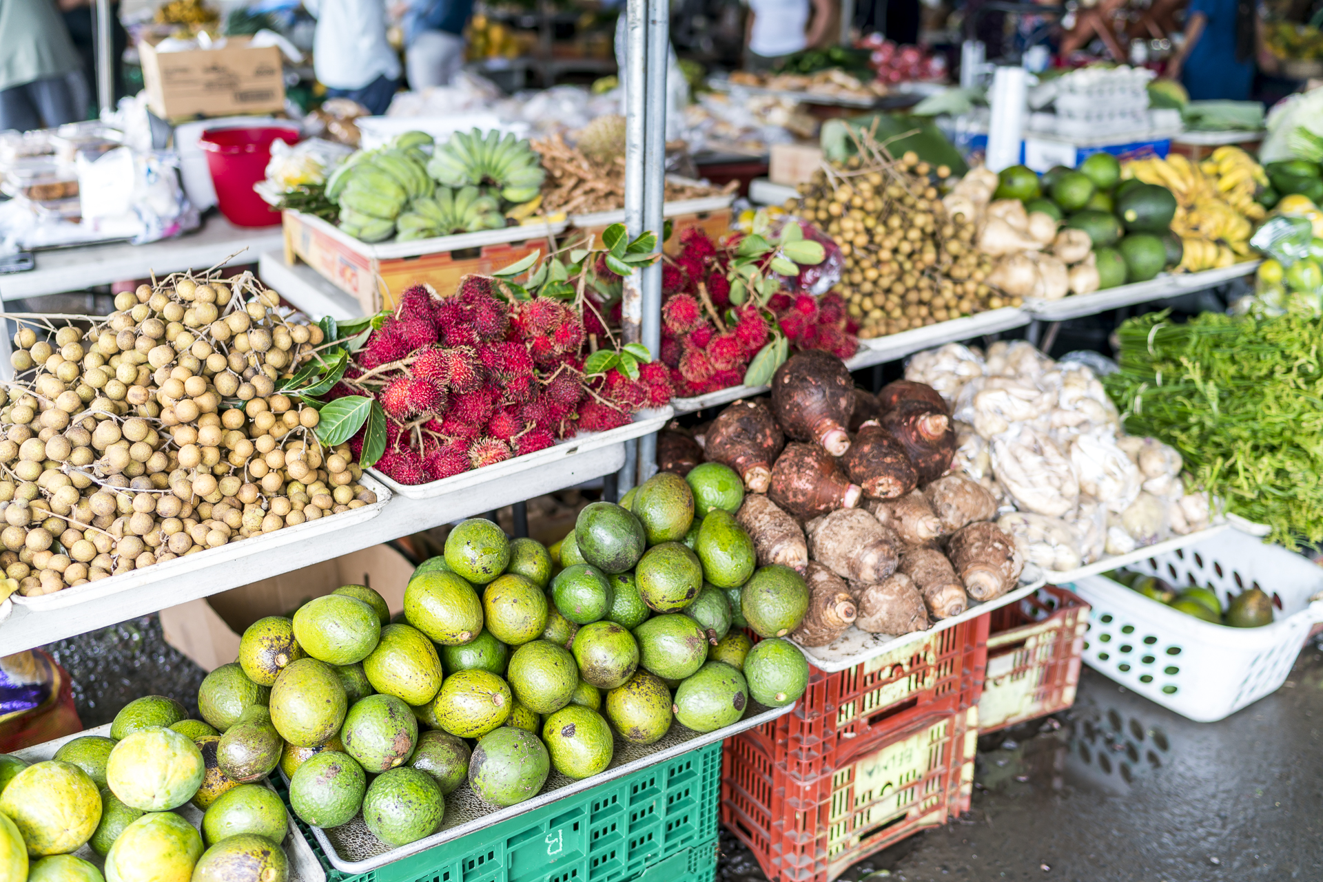 HIlo Farmers Market