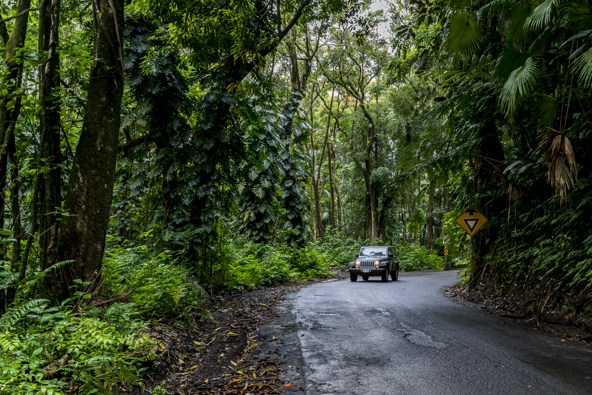 Old Mamahaloha Highway Big Island