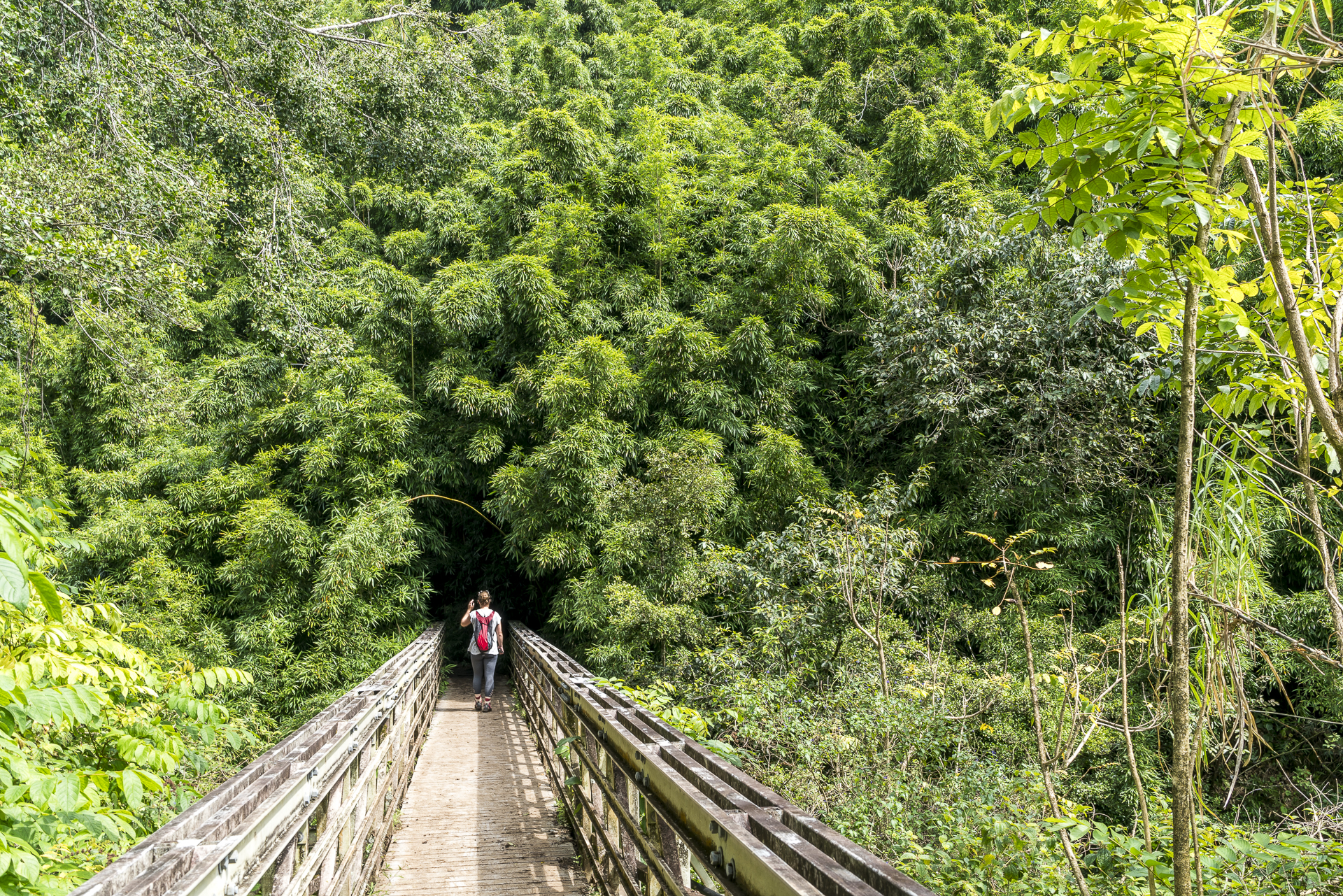 Maui Pipiwai Trail