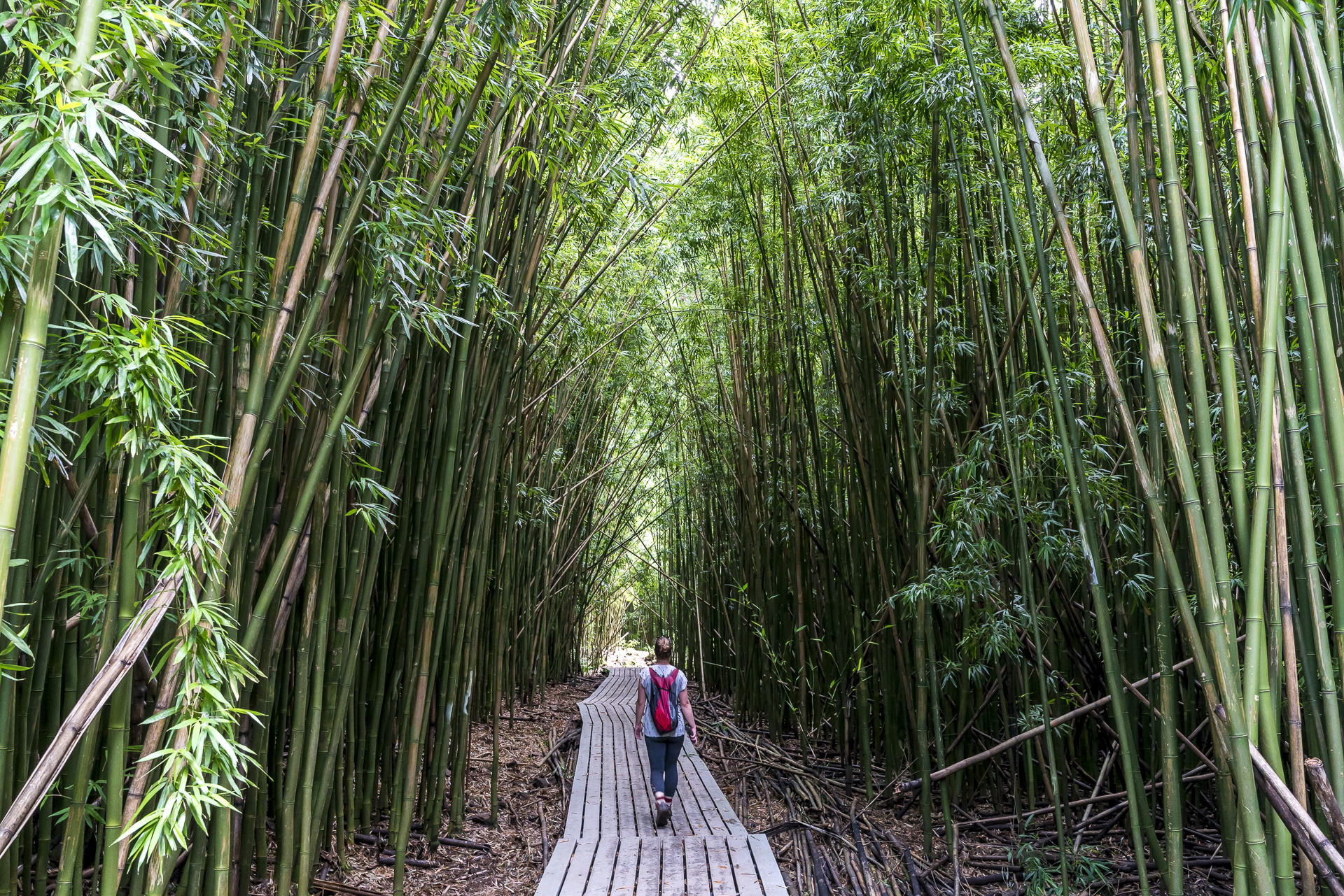 Pipiwai Trail Maui Hawaii
