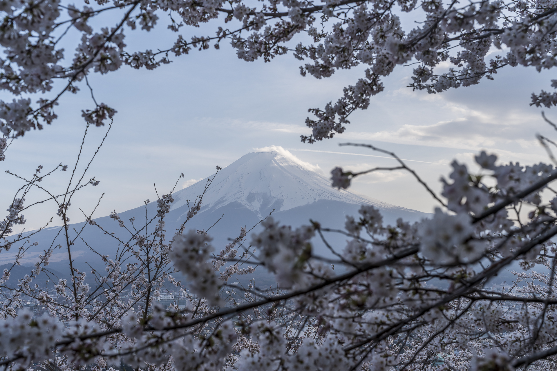 Arakurayama Sengen Fuji