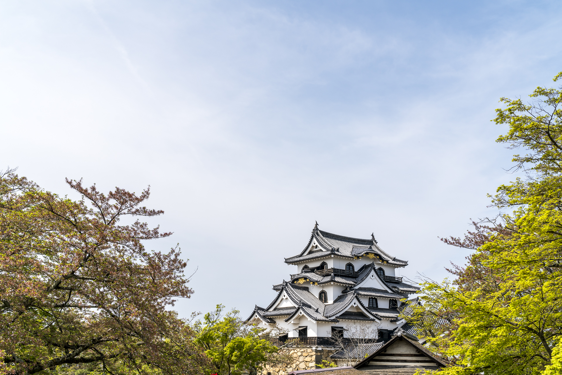 Burg Hikone