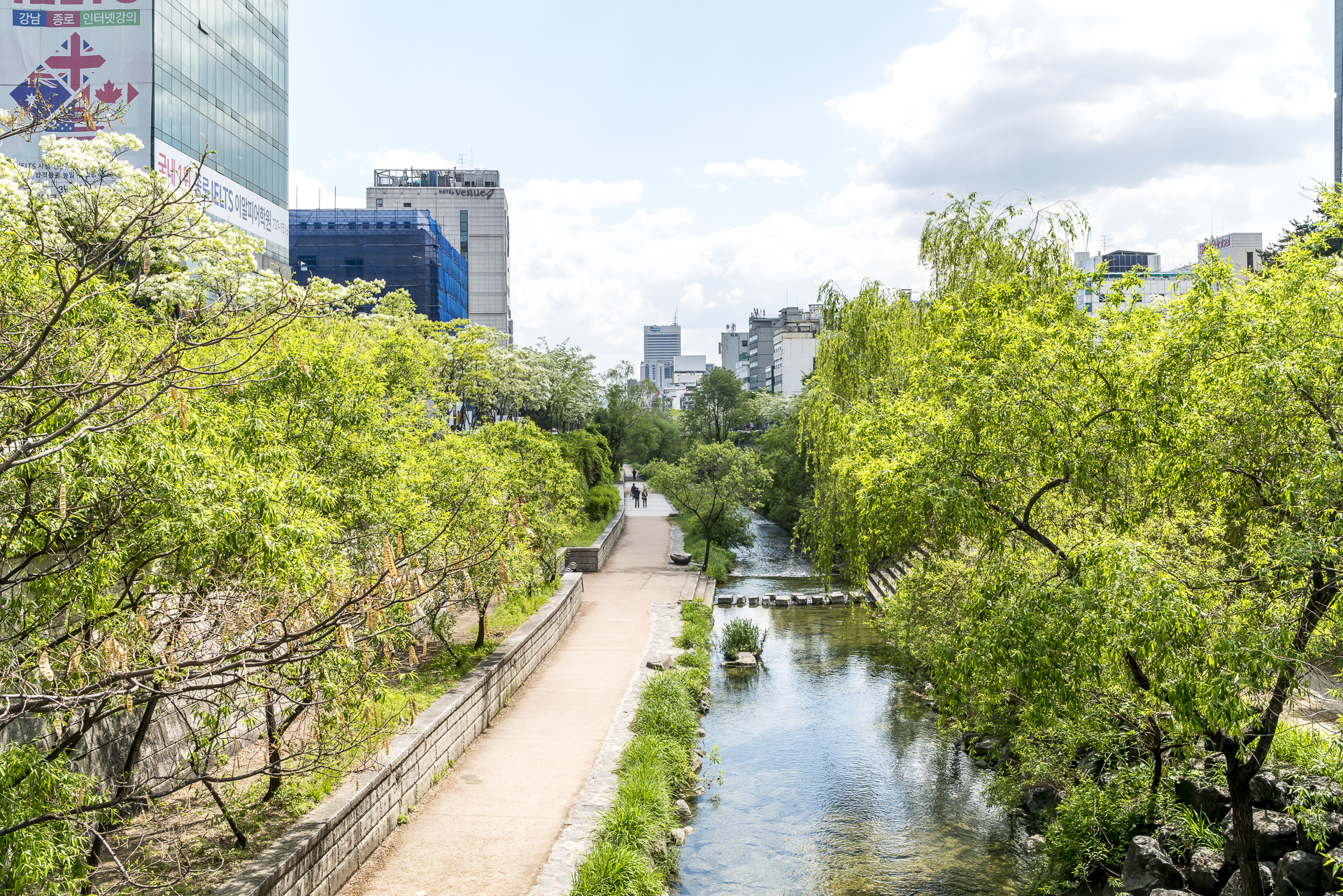 Cheonggyecheon Park Seoul