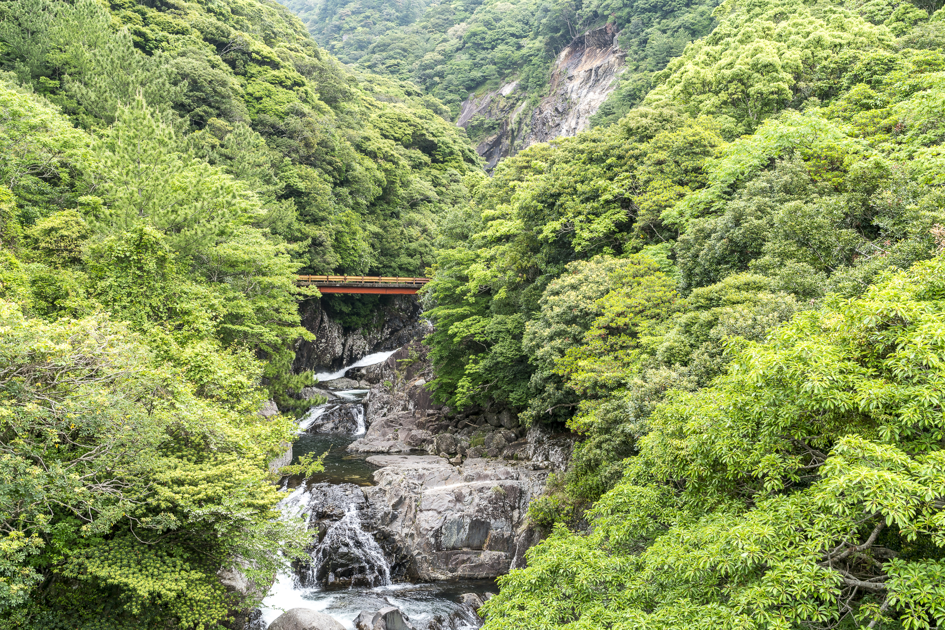 Seibu rindo Forest Path Yakushima Brücke
