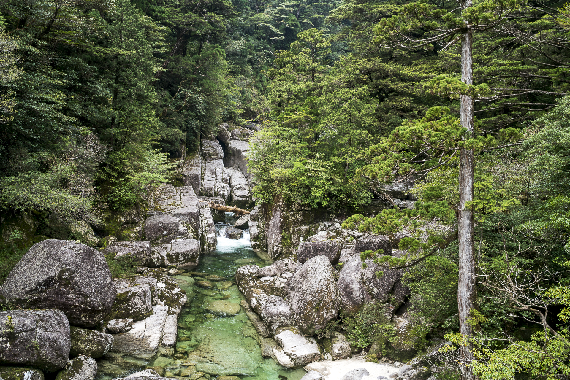 Yakushima Japan Geheimtipp