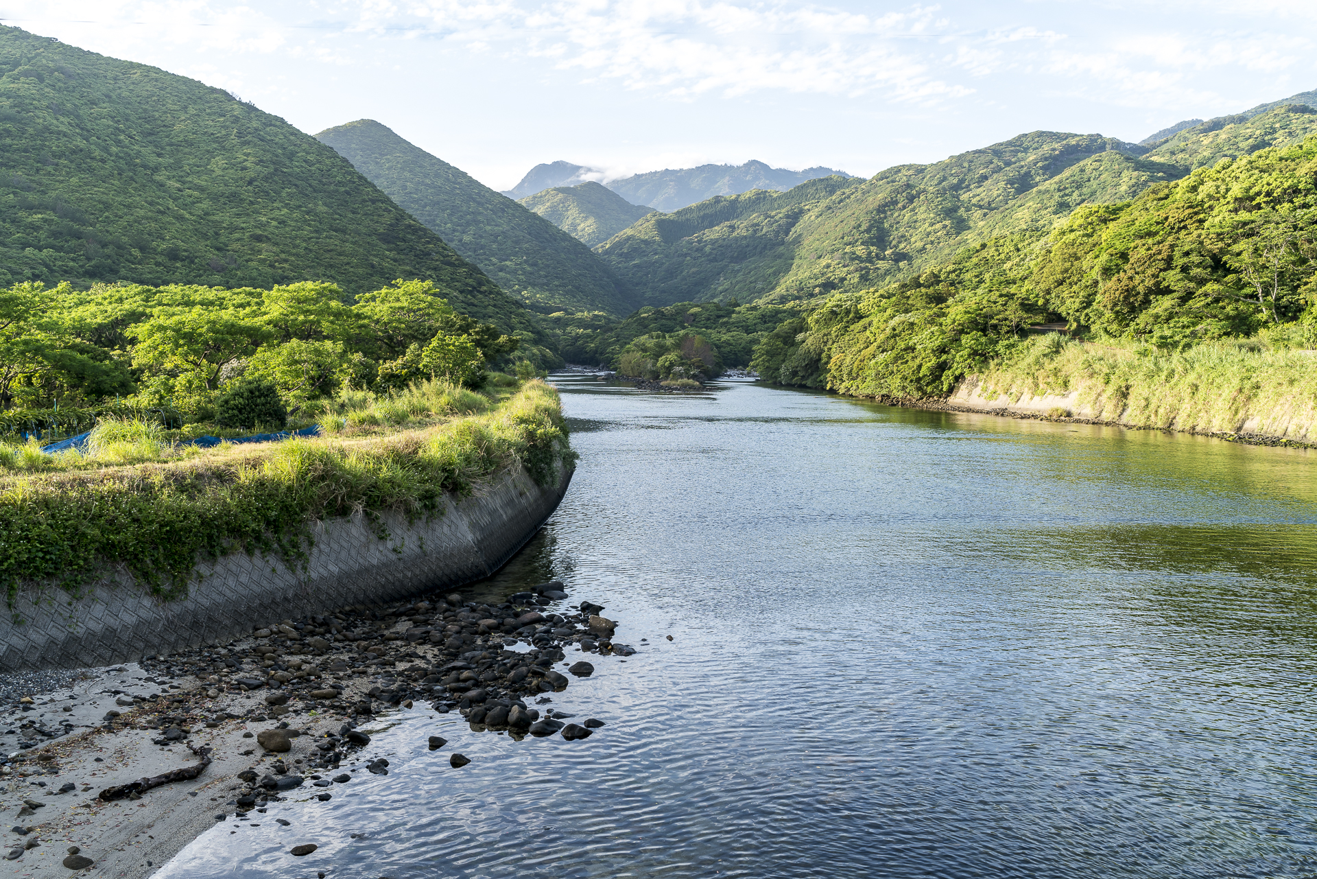 Yakushima Japan