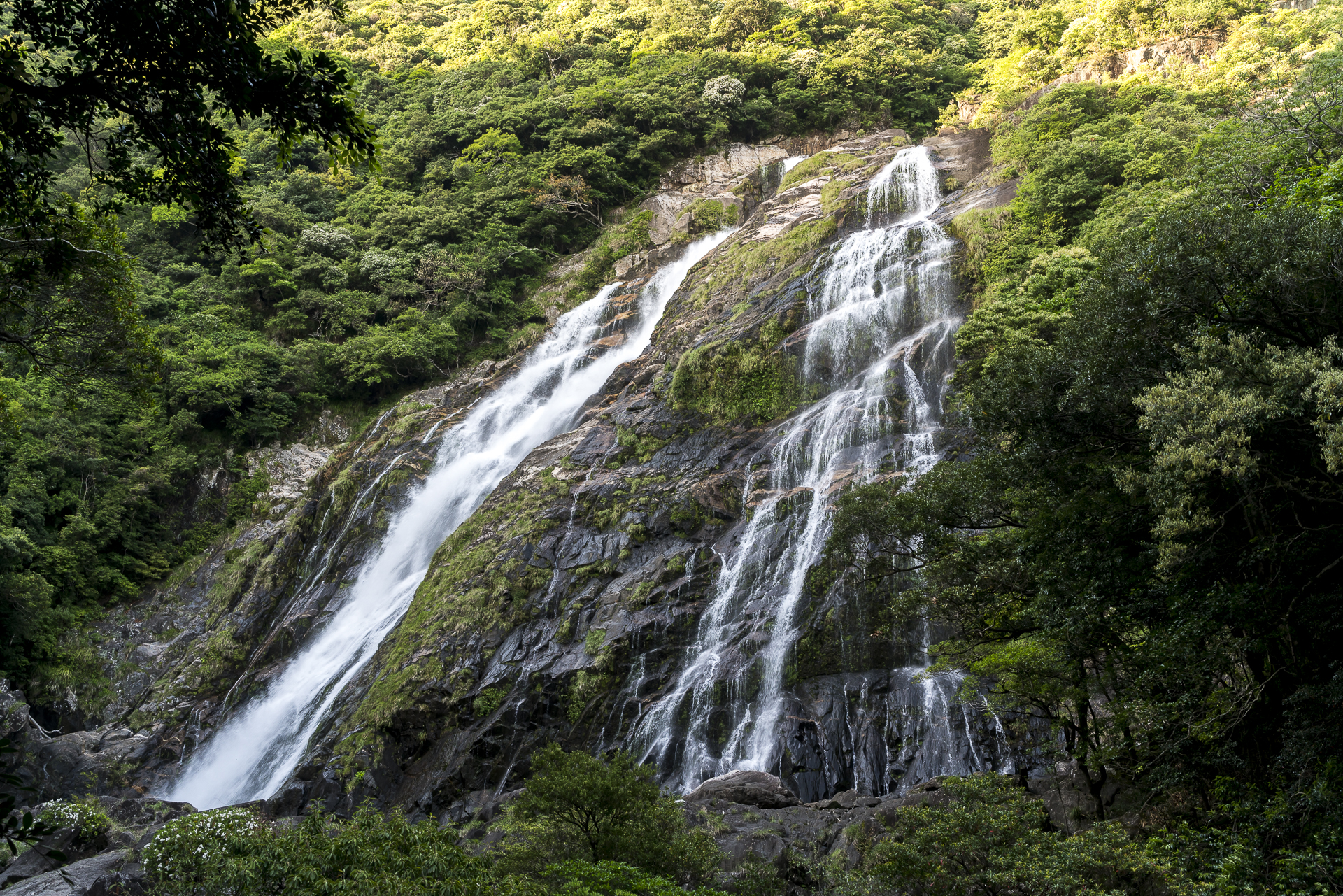 Ohko Taki Waterfall Yakushima